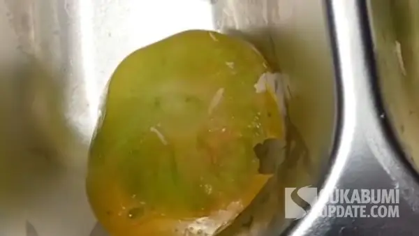 Belatug sayur di menu MBG yang ditemukan pelajar SD di Jampangtengah Kabupaten Sukabumi (Sumber: dok warga)