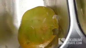 Belatug sayur di menu MBG yang ditemukan pelajar SD di Jampangtengah Kabupaten Sukabumi (Sumber: dok warga)