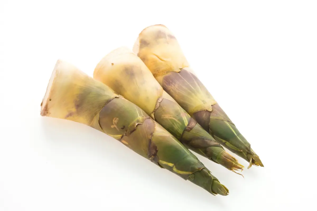 6 Manfaat Rebung bagi Kesehatan, Lengkap dengan Kandungan Gizi dan Efek Sampingnya