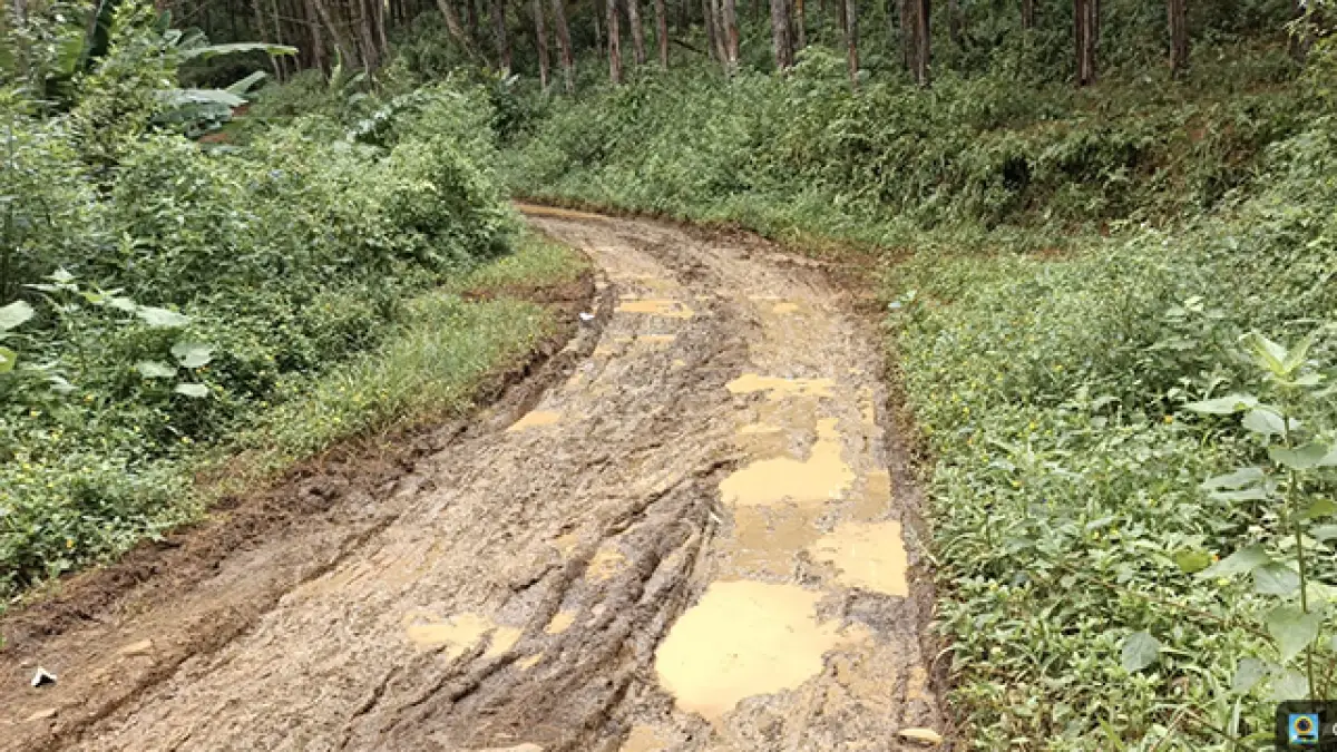 Jl. Pangelodan, Sukajaya, Kecamatan Pabuaran, Kabupaten Sukabumi, Jawa Barat.