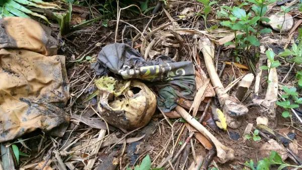 Kerangka manusia yang ditemukan warga di tengah kebun di wilayah Kecamatan Simpenan, Kabupaten Sukabumi. Senin (2/2/2026). (Sumber: Istimewa)