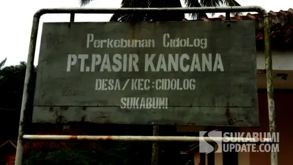 Kebun sawit yang tersisah di Kabupaten Sukabumi, garapan PT Pasir Kancana (Sumber: sukabumiupdate)