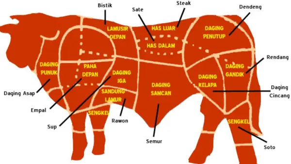 Jenis Daging Sapi. Pemerintah Tetapkan HET jelang Ramadan 2026 (Sumber: dok medsos)