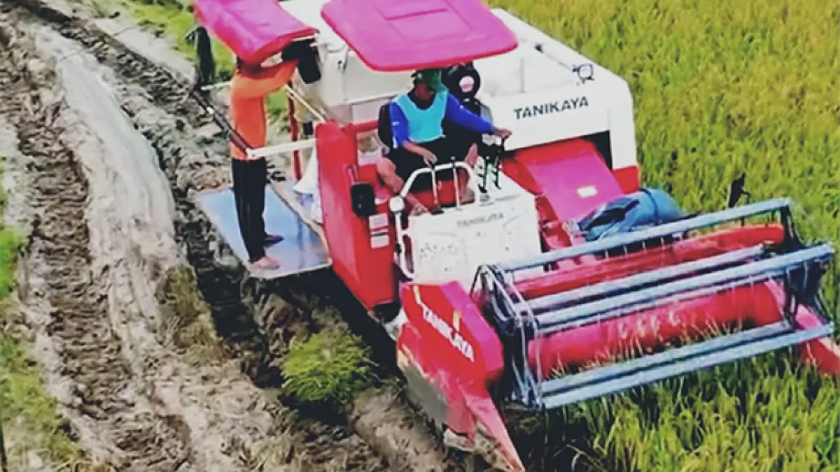 Kolaborasi Lintas Sektor, Distan Sukabumi Perkuat Swasembada Pangan Daerah