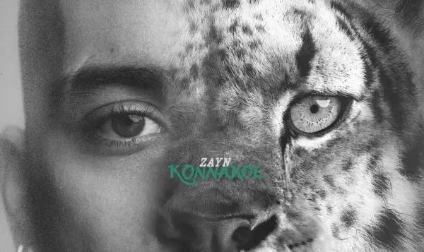 Lirik Lagu Die for Me Zayn Malik, Perasaan Marah dan Sakit Hati Dikhianati Kekasih (Sumber : Instagram/@zayn)