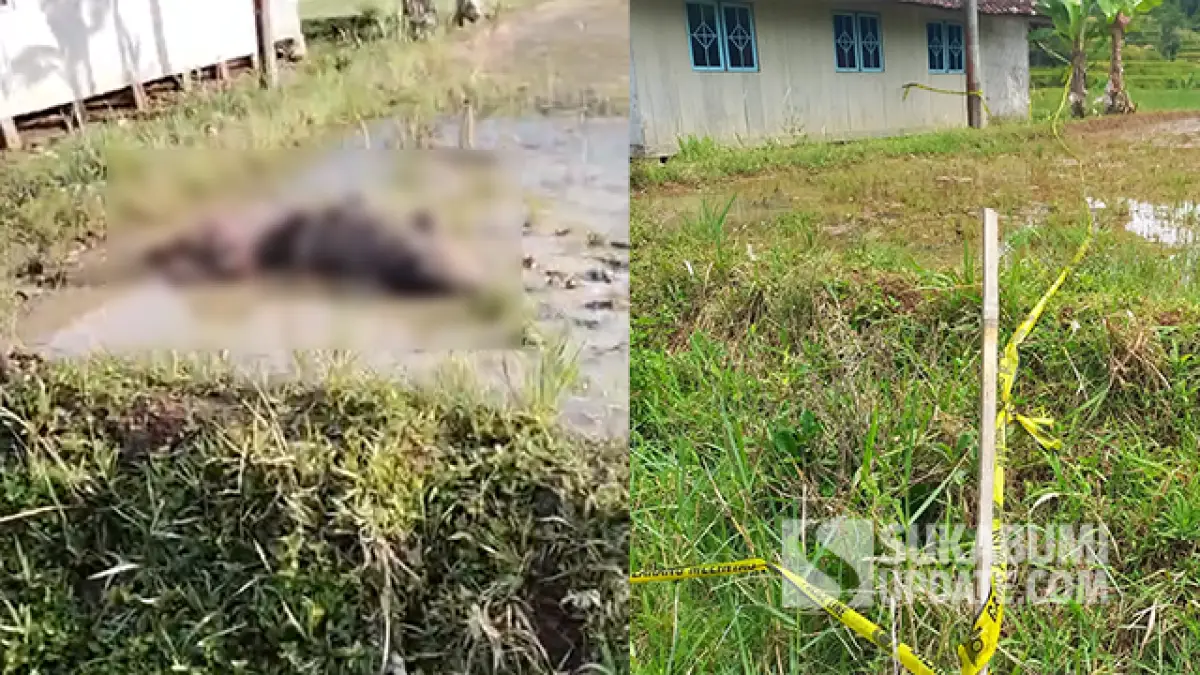 Petani di Jampangkulon Tewas di Sawah dengan Kaki Terikat, Diduga Dianiaya Massa