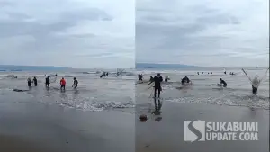 Warga sedang berburu ikan impun di perairan pantai Citepus, Palabuhanratu, Kabupaten Sukabumi | Foto : Ilyas S
