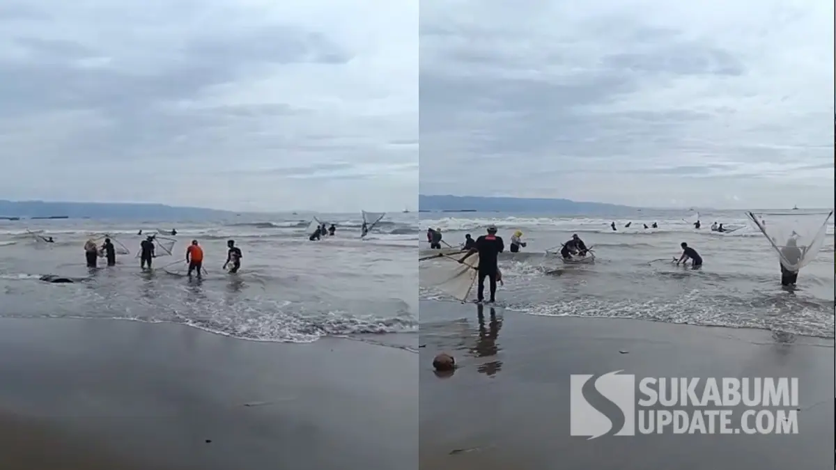 Kembali Berburu Impun di Perairan Pantai Citepus Sukabumi