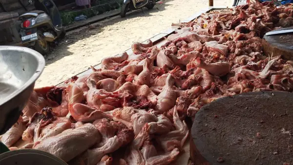 Kondisi di lapak penjual daging ayam di Psar Surade, Kabupaten Sukabumi. Senin (17/2/2026). (Sumber: Istimewa)