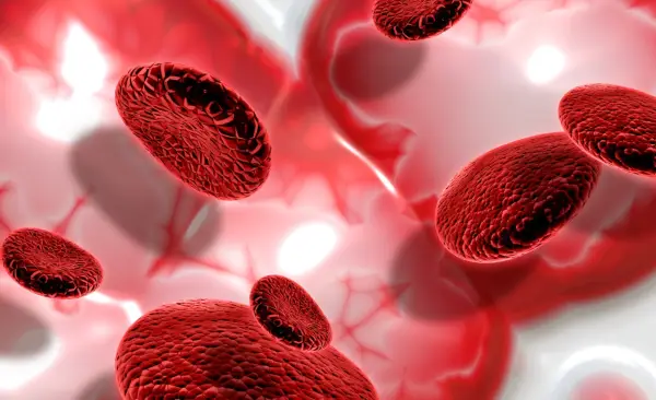 Ilustrasi. Kenali Jenis-Jenis Kanker Darah: Leukemia, Limfoma, dan Mieloma (Sumber : Freepik/@kjpargeter)