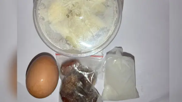 Penampakan menu MBG yang dikeluhkan penerima manfaat. (Sumber: Istimewa)