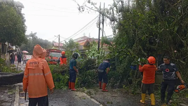 Penanganan pohon tumbang Jl.Letda T Asmita depan SDN Tonjong, Citamiang, Kota Sukabumi. (Sumber: BPBD Kota Sukabumi)