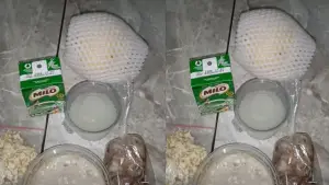 Menu Makan Bergizi Gratis (MBG) di SDN Nyalindung Desa Mandrajaya, Ciemas, Kabupaten Sukabumi | Foto : @Agustina Abdul Hasanudin