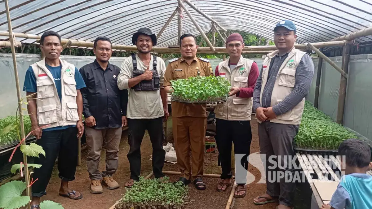 Tinjau Pembibitan Cabai di Waluran Green Farmer, Kadistan Sukabumi Dorong Petani Milenial Bentuk Koperasi