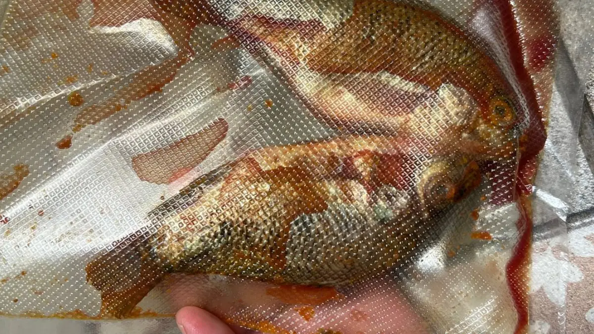 MBG Ikan Nila Mentah Berdarah-darah di Kota Sukabumi, Berakhir Disambar Kucing