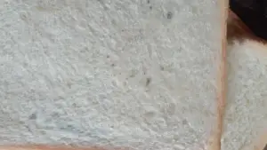 Berjamur. Roti bulukan di menu MBG paket ramadan anak PAUD di Jampangtengah (Sumber: dok warga)