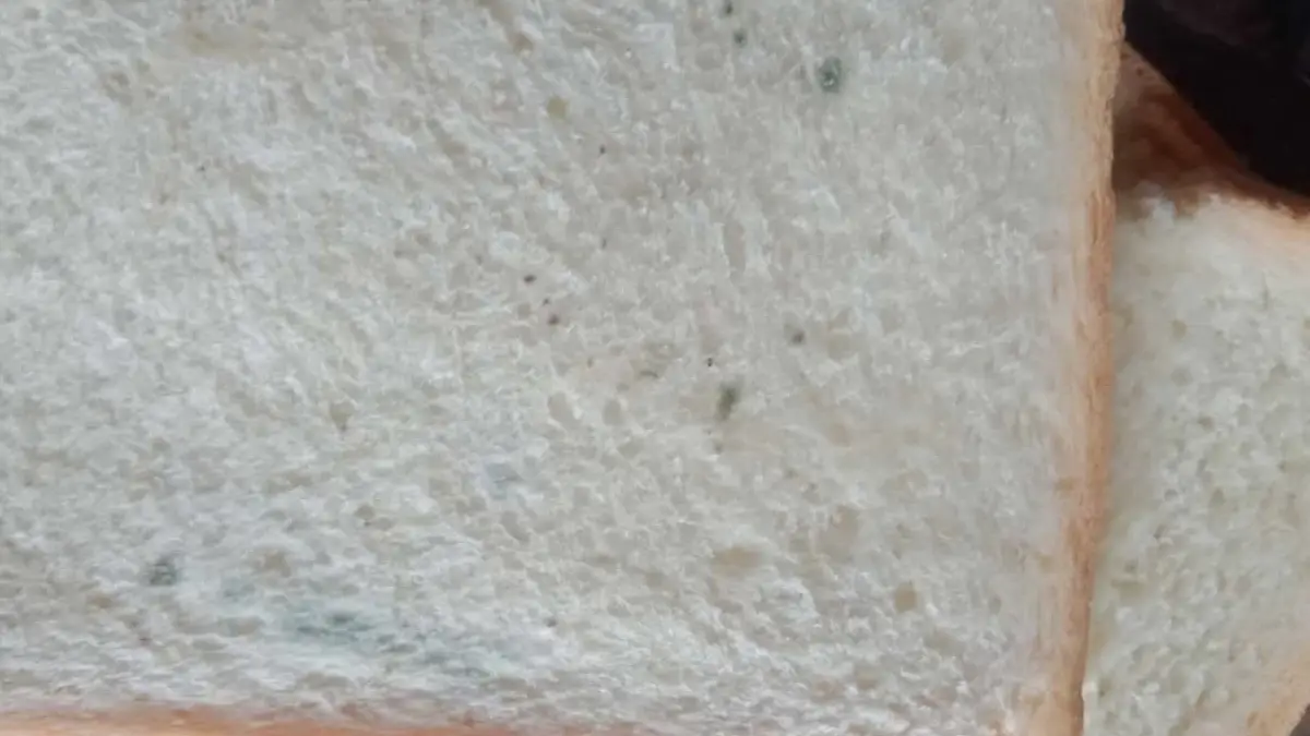 Roti Bulukan jadi Menu MBG Ramadan Anak PAUD di Jampangtengah Sukabumi