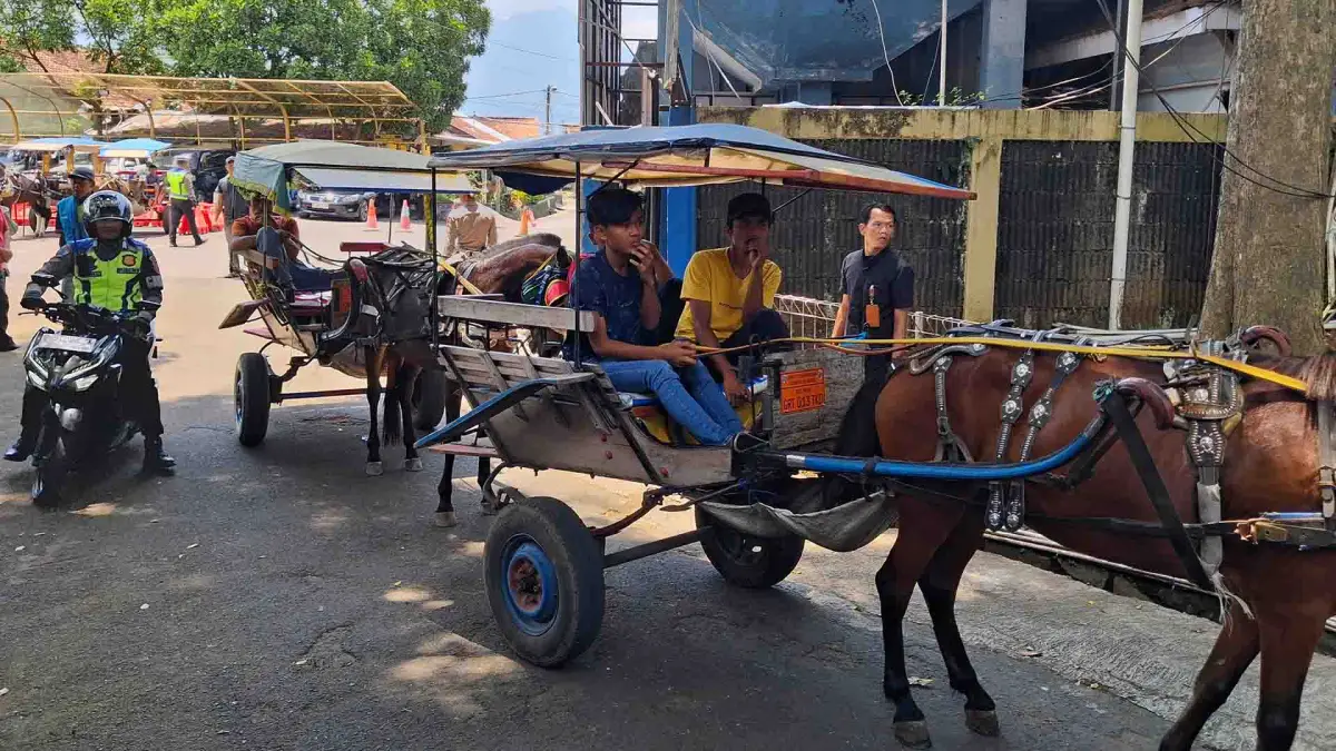 Dilarang Narik saat Mudik, Ribuan Kusir Delman-Sopir Angkot Dapat Kompensasi Rp1,4 Juta dari Pemprov Jabar