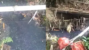 Potret limbah pembuangan produksi yang diduga berasal dari SPPG Purwasedar, dileuhkan warga karena berbau.. (Sumber : Dok warga).