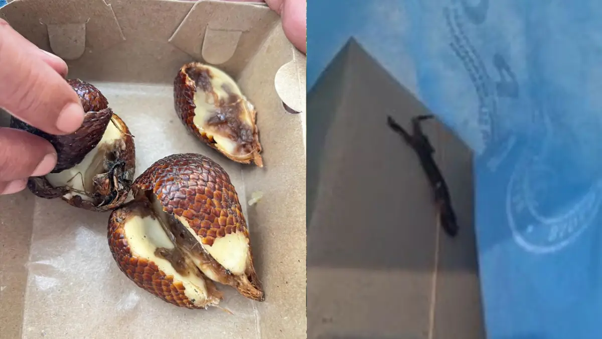 Buah Busuk hingga Bangkai Cicak, Menu MBG di SDN CBM Pakujajar Diprotes Ortu Murid