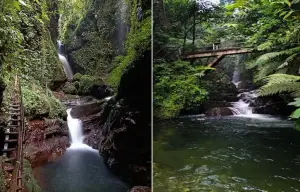 Curug Walet merupakan sebuah air terjun yang terletak di kaki Gunung Halimun Salak yang kini jadi tujuan wisata di Bogor  (Sumber : Gmaps)