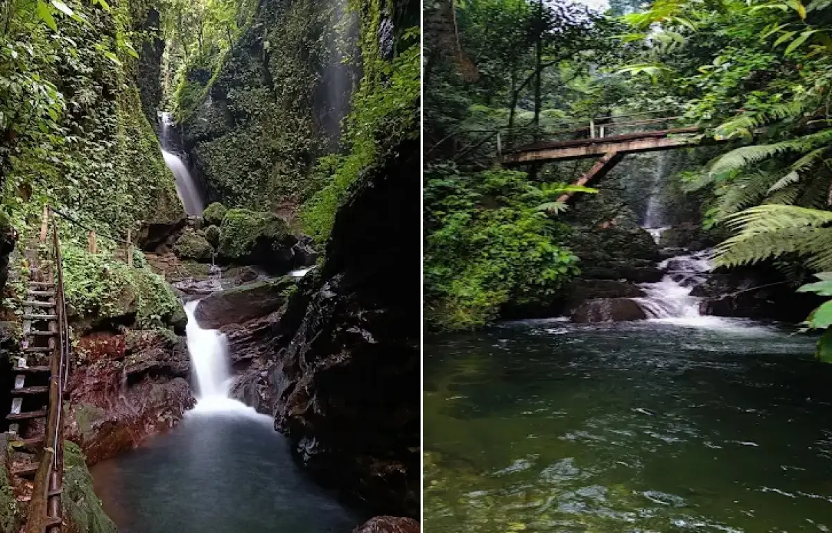 Curug Walet Surga Tersembunyi di Balik Hutan Gunung Halimun Salak