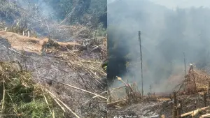 Potret kebakaran hutan yang terjadi di Kecamatan Cireunghas, Kabupaten Sukabumi. Rabu (18/3/2026). (Sumber: Istimewa)