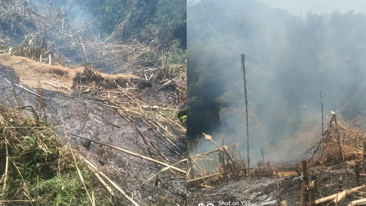Siang Terik Picu Kebakaran Hutan di Sukabumi, Api Hanguskan Lahan 2.000 m²