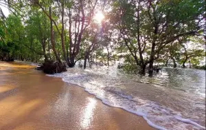 Pantai Tenda Biru Ujunggenteng Sukabumi (Sumber: Gmaps/andri wonkso)