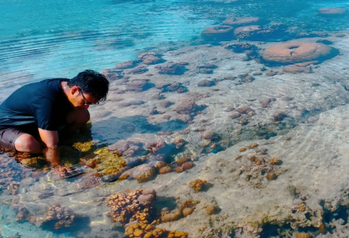 Banyak biota laut di pantai Tenda Biru