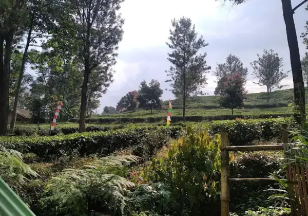 Puncak Belendung, salah satu destinasi wisata murah meriah di Utara Kota Sukabumi (Sumber : Istimewa)