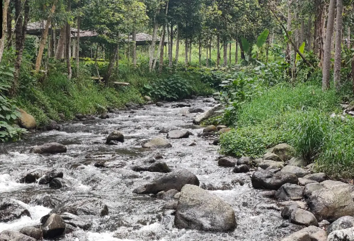 Villa Kaca tempat niis baru yang ada di desa Pasir Datar, Sukabumi sedang ramai di media sosial