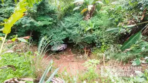 Travel tujuan Jampang masuk jurang di Simpenan Sukabumi (Sumber: sukabumiupdate)