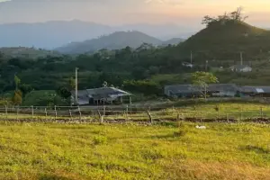 Bukit Ilalang di Fina Farm yang menjadi salah satu lokasi melepas penat sambil menyaksikan matahari terbenam di Sukabumi (Sumber : Gmaps/Mutiara Zain)