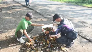 Aksi bersih-bersih sampah di jalur wisata Palabuhanratu | Foto : @pemkab sukabumi