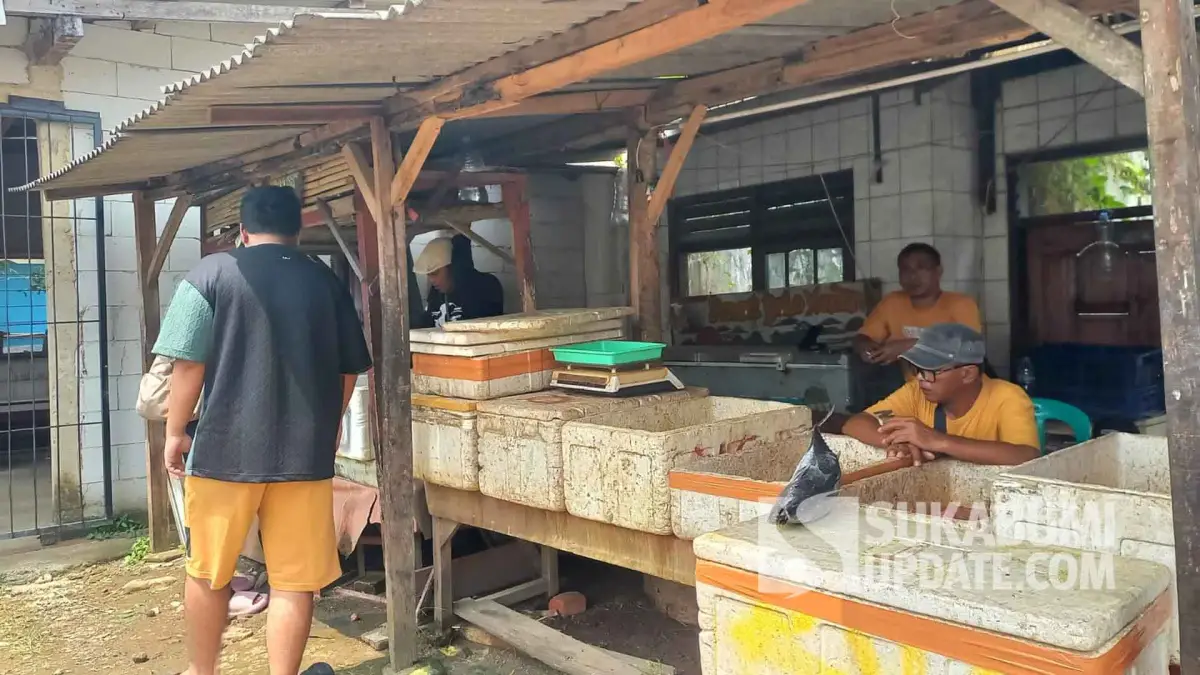Pedagang ikan di Palangpang Sukabumi terpaksa menyewa tempat berjualan pasca TPI dibongkar untuk Program KNMP.