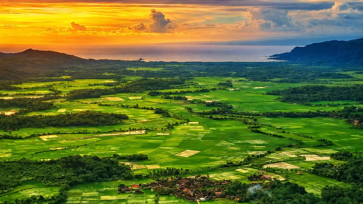 Menatap Hamparan Sawah dan Laut Ciletuh dari Rest Area Bukit Panenjoan Tamanjaya