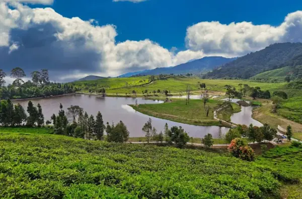 Talaga Saat Puncak salah satu danau terindah di Jawa Barat (Sumber : Gmaps/Daffa Nur Dzaky)