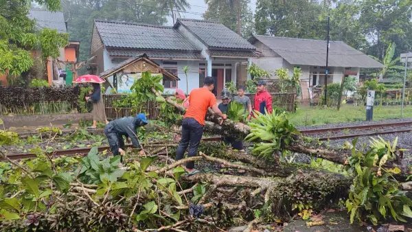 Pohon tumbang, Senin 13 April 2026 tutup tel kereta di petak Gandasoli (Sumber: dok PT KAI)