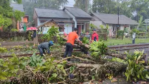 Pohon tumbang, Senin 13 April 2026 tutup tel kereta di petak Gandasoli (Sumber: dok PT KAI)