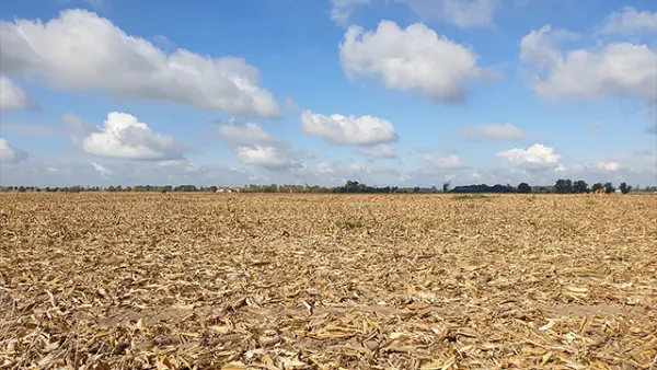 Ilustrasi - Musim kemarau 2026 di Indonesia lebih kering. (Sumber : Freepik.com/@wirestock).