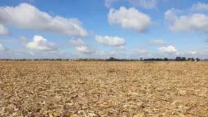 Ilustrasi - Musim kemarau 2026 di Indonesia lebih kering. (Sumber : Freepik.com/@wirestock).
