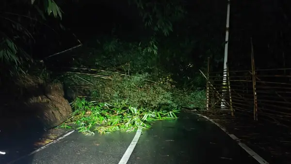 Kondisi jalan provinsi Sukabumi-Sagaranten tepatnya di Kampung Cicalobak, Desa Cijangkar, Kecamatan Nyalindung yang lumpuh total akibat tertutup rumpun bambu. Selasa (14/4/2026). (Sumber: Dok Warga)