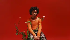 Penyanyi D4vd Ditangkap atas Kasus Dugaan Pembunuhan Celeste Rivas Hernandez (Sumber : Instagram/@d4vddd)