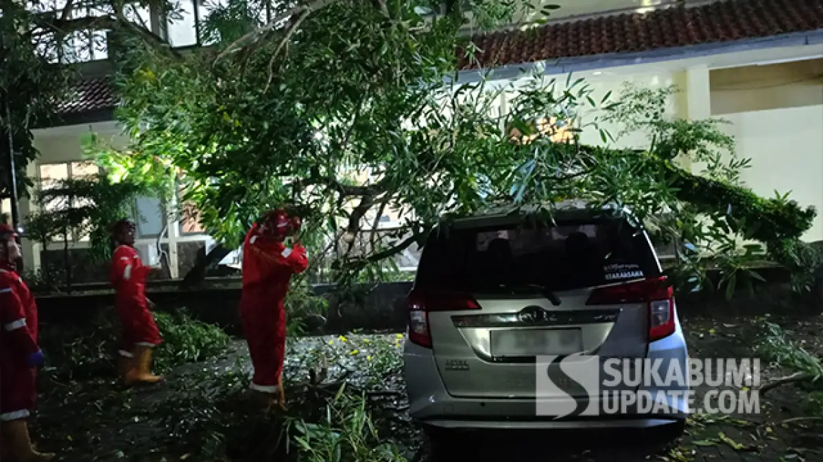 Pohon Sakura Tumbang Timpa Mobil yang Terpakir di Area Kantor Setda Sukabumi