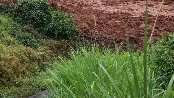 Longsor di Cianaga Kabandungan Kabupaten Sukabumi (Sumber: dok tagana)