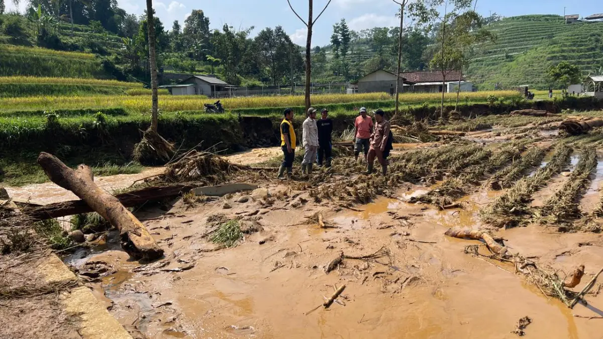 Sungai Citamiang Meluap, 2 Ha Sawah Warga Kabandungan Terancam Gagal Panen