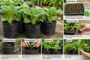 Cara mudah menanam sawi di polybag yang bisa dicoba di rumah dengan memanfaatkan pekarangan atau balkon. (Sumber : AI chatGPT)