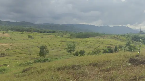 Lokasi PT Agri Panen Lestari di Kampung Ciareuy, Desa Sindangresmi, Kecamatan Jampangtengah, Kabupateng Sukabumi | Foto : Istimewa