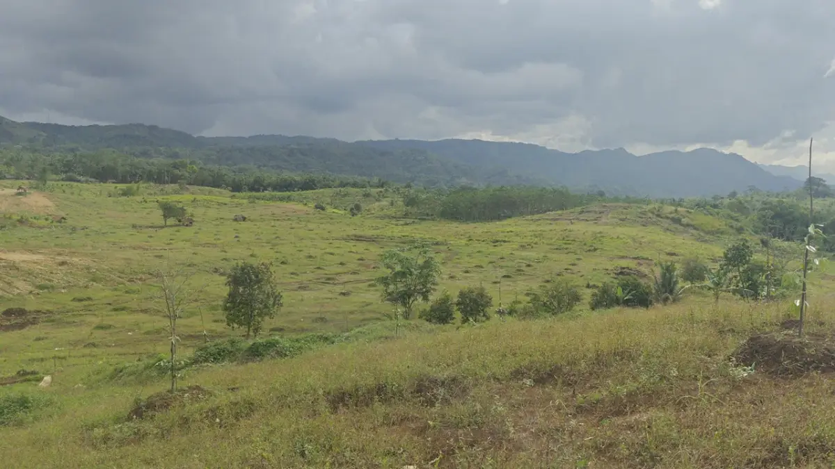 Satpol PP Sukabumi Tegaskan Penegakan Perda Jika PT Agri Panen Lestari Tak Penuhi Izin